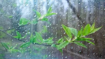 In the predominantly northern regions of the republic, short-term rain and thunderstorms are expected.