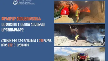 In one week, 750 cases have been registered at the Ministry of Internal Affairs' operational management center, of which 272 are emergencies.