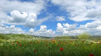From July 16 to 18, during the daytime, the temperature will drop by 4-5 degrees.