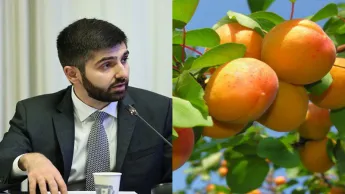 ՀՀ-ից Իսպանիա ծիրան դեռ չի արտահանուած։ Արման Խոջոյան
