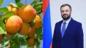 Այս տարուան հունիսի 1-էն հուլիսի 19-ը Հայաստանինէ արտահանուած է 7654 տոննա ծիրան։ Գեւորգ Պապոյան