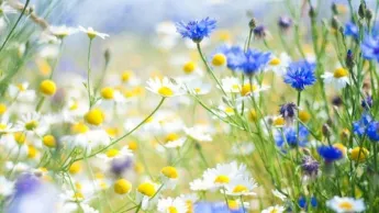 The weather in the republic is expected to be dry with no precipitation. The air temperature will rise by 2-4 degrees.